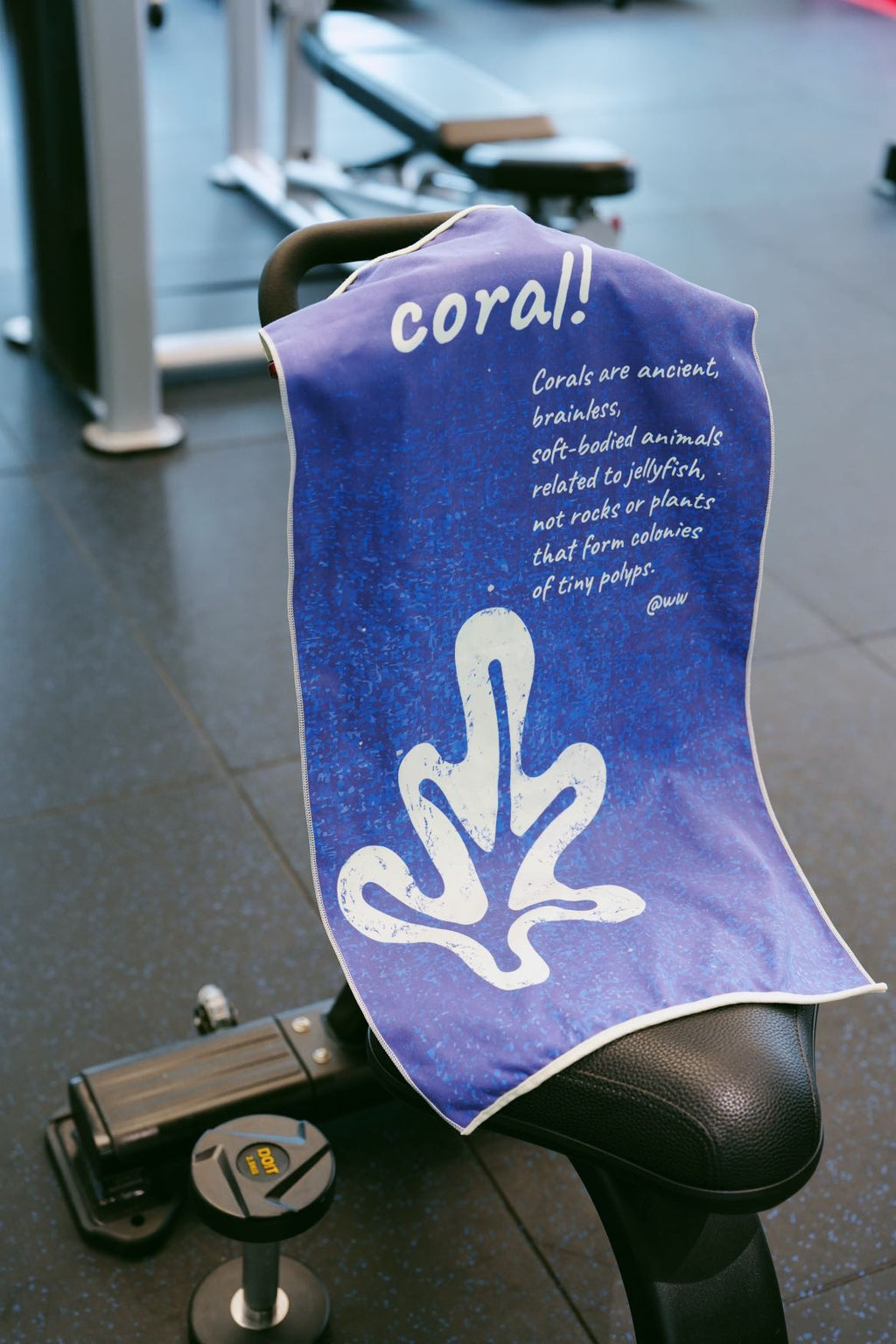 gym towel for sweat absorption