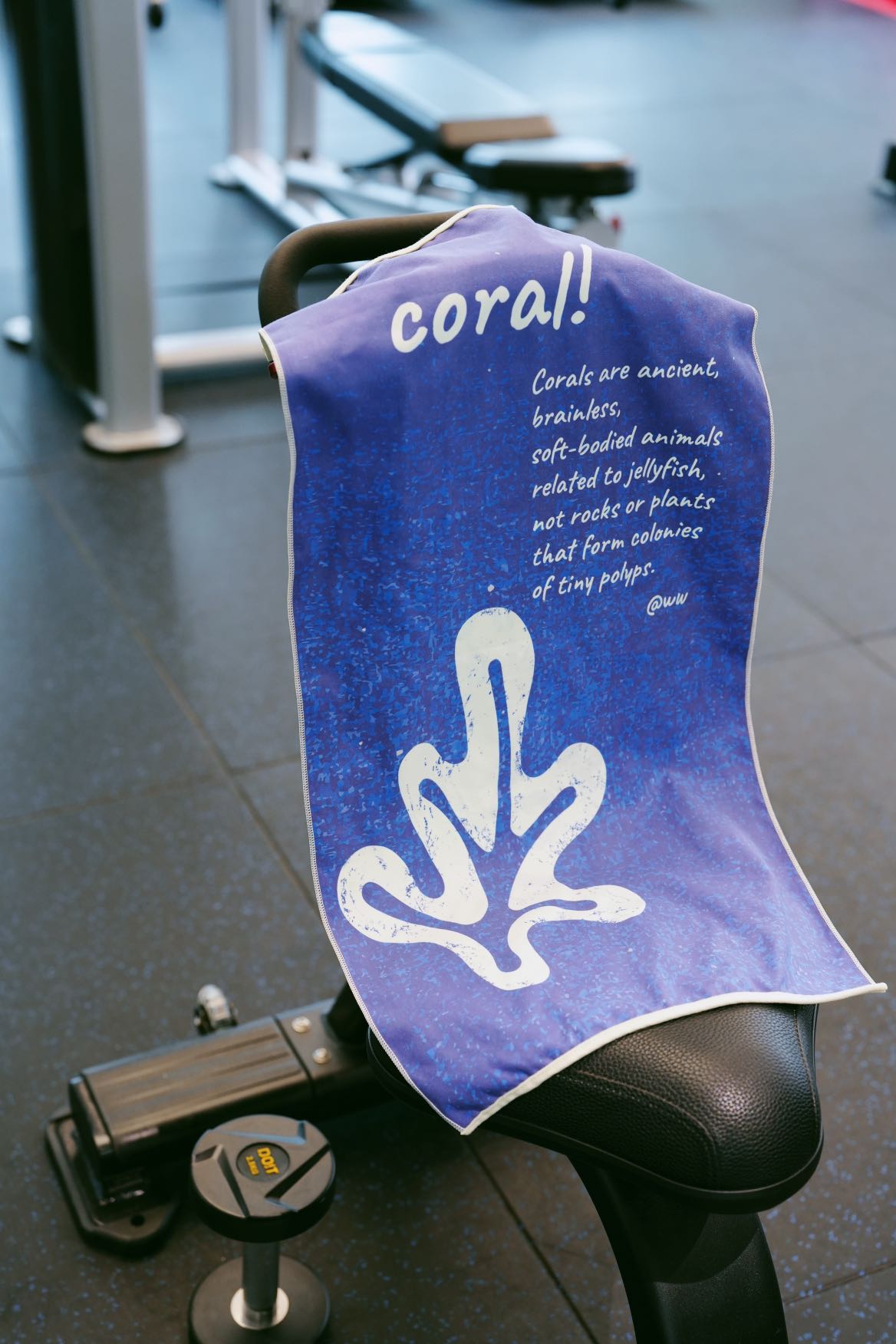 gym towel for sweat absorption